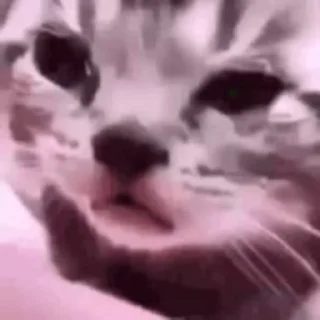 😢