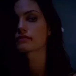 🐺