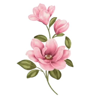 🌸