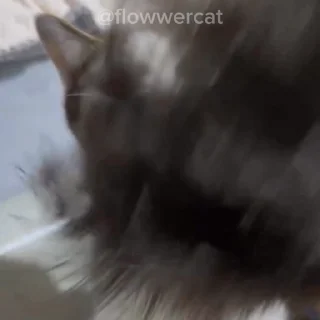 👊