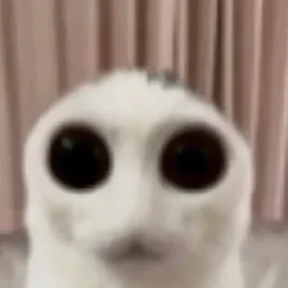 😌
