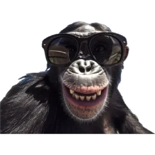 😎