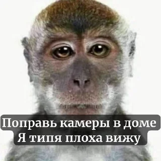 😱