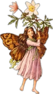 spring fairies by @suchanicelife