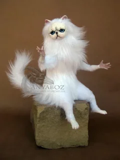 😮