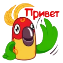 М/ф 38 попугаев