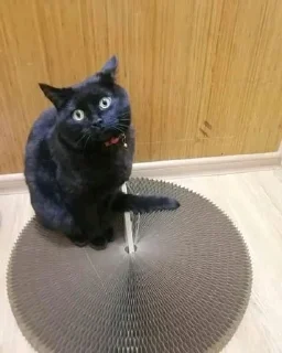 🤨