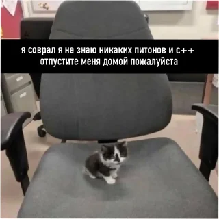 🪑