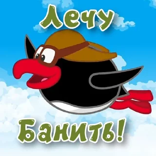 😎
