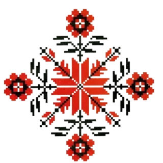 🌺