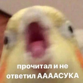 😭