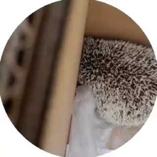 🥱