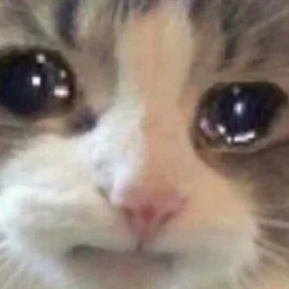 😭
