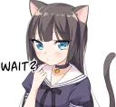 Tsundere Cat Girl Miyako