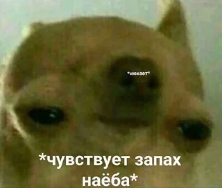 😧