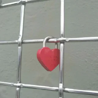 🔒