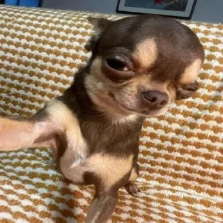 😏