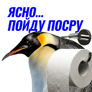 🧻