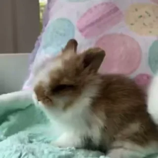 🥛