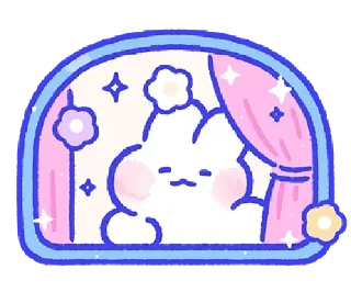✨