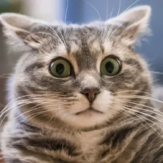 😳