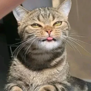 😛