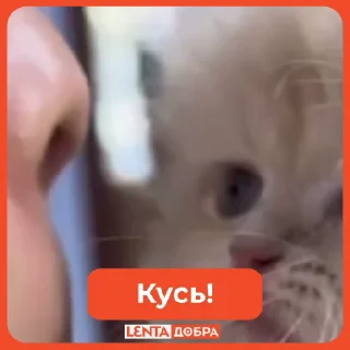 🤭