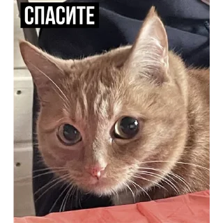 😰