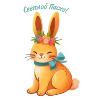 🐰