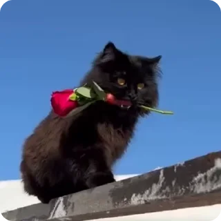 💐