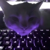 Котики от Vēxîk <3 @vxdtp