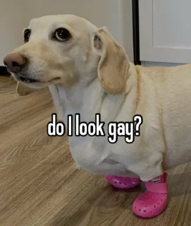 🚫
