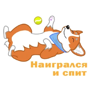 😴
