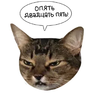 😠