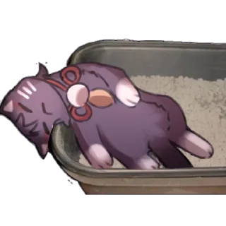 😴