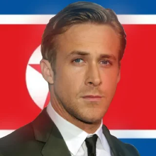 🇰🇵