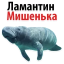 Manatee @stickersb2b