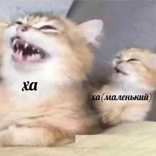 😂