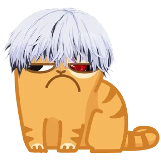 😼
