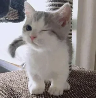😉