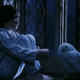 🦉