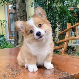 😊