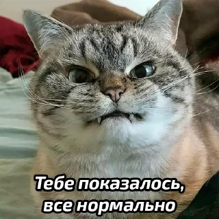 😒