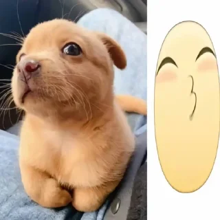 🌟