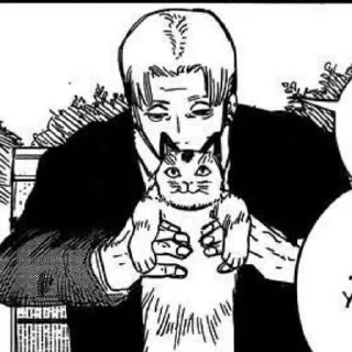 😺