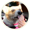 🍡