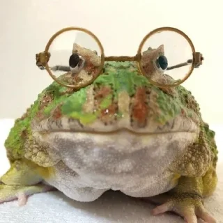 👓