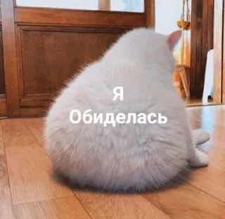 🥺
