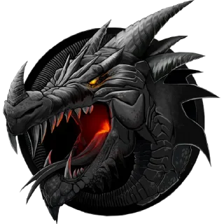 🐲