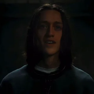 🕷️